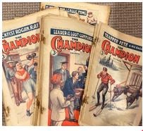 THE CHAMPIONS