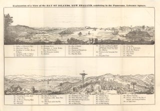 WAITANGI DAY