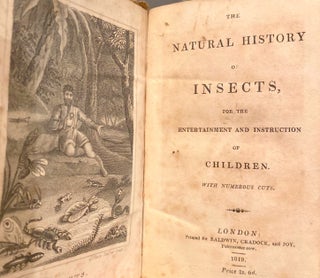 Item #013758 The Natural History Of Insects, For The Entertainment and Instruction of Children