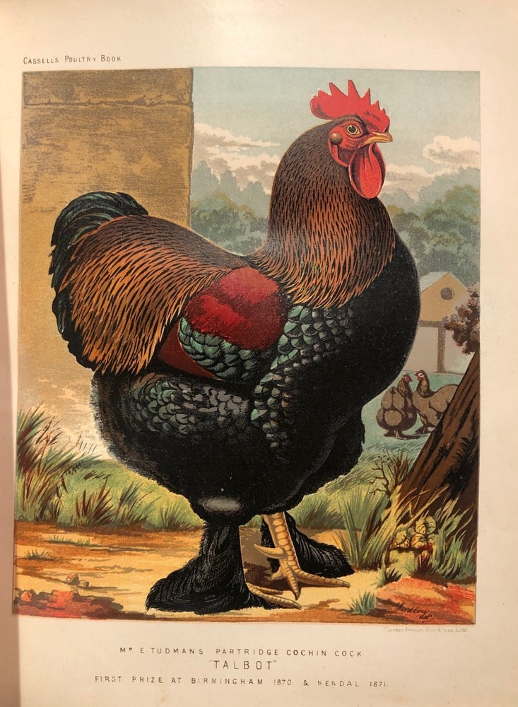 Item #015257 The Illustrated Book of Poultry. With Practical Schedules for Judging. Lewis WRIGHT.