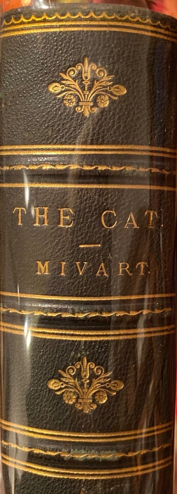 Item #015265 The Cat An Introduction To The Study of Backboned Animals Especially Mammals. St. George MIVART.