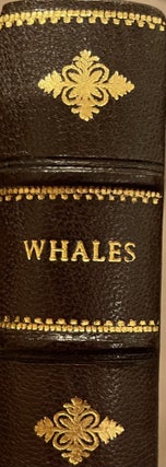 Item #015417 Natural History of the Ordinary Cetacea or Whales. Robert HAMILTON