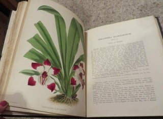 Item #015536 The Orchid Album, Comprising Coloured Figures and Descriptions of New, Rare and...