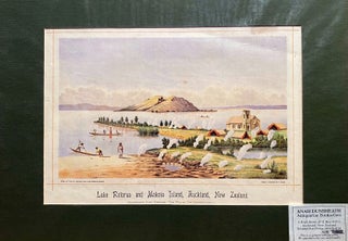 Item #018451 Lake Rotorua and Mokoia Island, Auckland, New Zealand. T Ryan