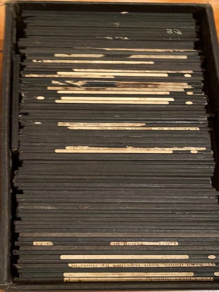 Plants and animals glass slides