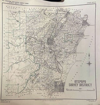 Item #018639 Otepopo Survey District plan