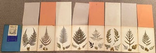 Item #018677 New Zealand Ferns, mounted and botanically named by Mrs. C C Armstrong, Dunedin. C....