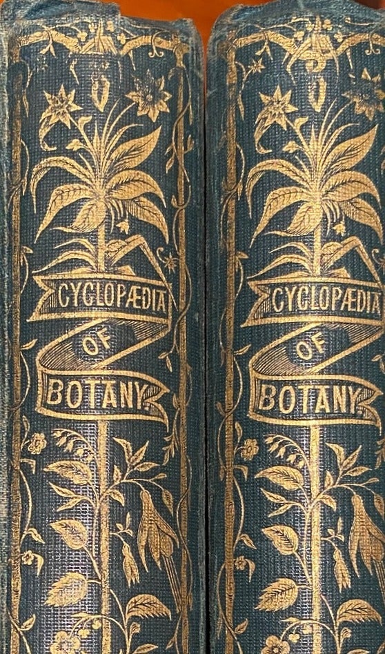 Item #019073 The Cylopedia of Botany,or a History an Description of all Plants, British or Foreign, forming a complete book of herbs and family herbal. Richard Brook.