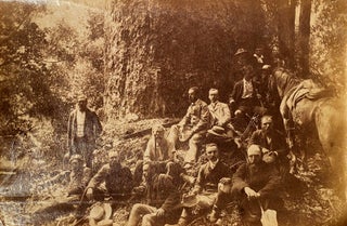 Item #019234 Scene of 13 gentlemen with Kauri tree. Early New Zealand
