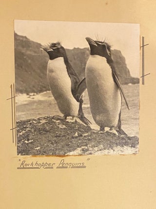 Campbell Island photographs