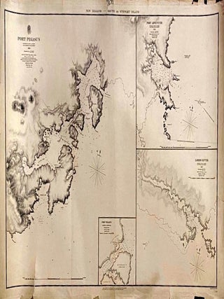 Item #019613 Port Pegasus. New Zealand South or Stewart Island. 1849. Admiralty Hydrographic Office