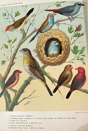 Item #019735 The illustrated Book of Canaries and Cage-Birds, British and Foreign. W. A...