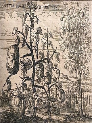 An Embassy sent by the East-India-Company of the United Provinces to the Grand Tartar Chan or Emperour, China, delivered at Peking by Peter Groyer, Jacob de Keyzer, 1655
