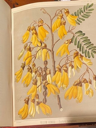Item #020800 The Art Album of New Zealand Flora; being a systematic and popular description of...