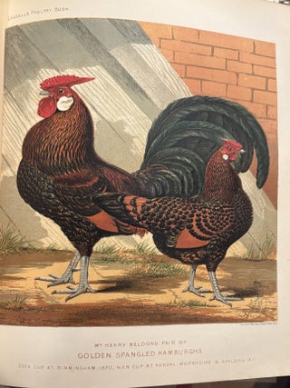 The Illustrated Book of Poultry. With Practical Schedules for Judging